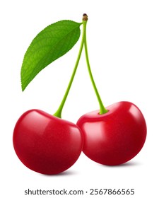 Ripe cherries with a leaf isolated on a white background. Raw red cherry berry, realistic 3d vector illustration. Ripe of berries, glistening with vibrant hues.