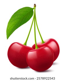 Ripe cherries with a leaf isolated on a white background. Raw red cherry berry, realistic 3d vector illustration. Ripe of berries, glistening with vibrant hues.