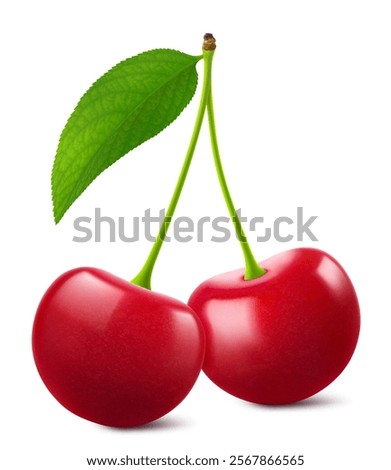Ripe cherries with a leaf isolated on a white background. Raw red cherry berry, realistic 3d vector illustration. Ripe of berries, glistening with vibrant hues.