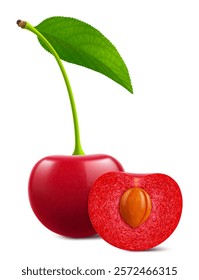 Ripe cherries with leaves isolated on a white background. Whole red cherry and half cherry with pit, realistic 3d vector illustration. Ripe of berries, glistening with vibrant hues.