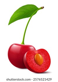 Ripe cherries with leaves isolated on a white background. Whole red cherry and half cherry with pit, realistic 3d vector illustration. Ripe of berries, glistening with vibrant hues.