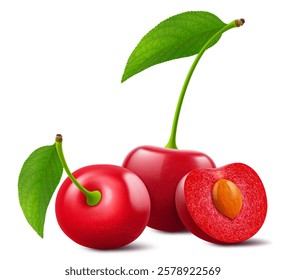 Ripe cherries with leaves isolated on a white background. Whole red cherry and half cherry with pit, realistic 3d vector illustration. Ripe of berries, glistening with vibrant hues.