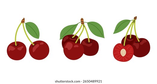 Cerejas maduras. Conjunto de ilustrações vetoriais de bagas de cerejas. Frutas sazonais. Filmes de cerejas suculentas sobre um fundo branco.