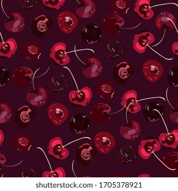 Ripe cherry berries on a red purple, bordo background. Hand-drawn vector illustration with fruits of garden trees.