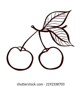 Ripe Cherry Branch With Leaves In Sketch Style, Linear Art. Contour Drawing For Food Design. Doodle Of Garden Fruit.