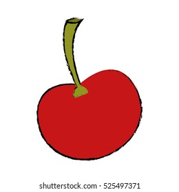 ripe cherry fruit nature design drawing