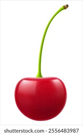 Ripe cherry isolated on a white background. Raw red cherry berry, realistic 3d vector illustration. Ripe of berries, glistening with vibrant hues.