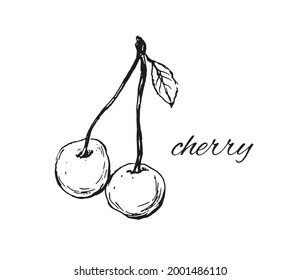 Cereza de madriguera con ilustración de vector de línea negra dibujada a mano sobre fondo blanco