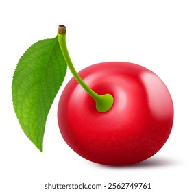 Ripe cherry with a leaf isolated on a white background. Raw red cherry berry, realistic 3d vector illustration. Ripe of berries, glistening with vibrant hues.