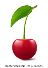 Ripe cherry with a leaf isolated on a white background. Raw red cherry berry, realistic 3d vector illustration. Ripe of berries, glistening with vibrant hues.