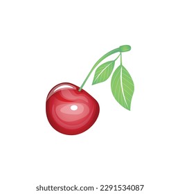 Ripe cherry on white background
