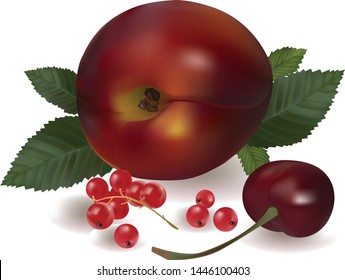 
ripe cherry, red currant and peach on a white background