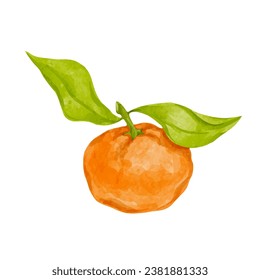 Ripe citrus fruit of tangerine. Vector graphics.