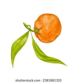 Ripe citrus fruit of tangerine. Vector graphics.