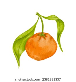 Cítricos maduros de tangerina. Gráficos vectoriales.