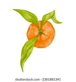 Ripe citrus fruit of tangerine. Vector graphics.