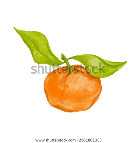 Ripe citrus fruit of tangerine. Vector graphics.