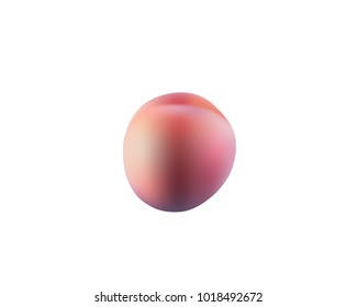 Ripe closeup apricot. Illustration of red apricot vector icon isolated on white background