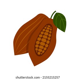 Ripe cocoa with a leaf isolated on a white background.