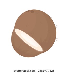 Ripe coconut in cartoon style on a white isolated background. Exotic fruits. Half a coconut. Minimalistic hand drawn brown coconut.