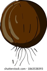 Coco, ilustración, vector sobre fondo blanco.
