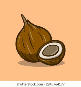 ripe coconut or old coconut illustration image in cartoon style on isolated background