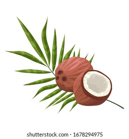 1,206 Closed coconut Images, Stock Photos & Vectors | Shutterstock