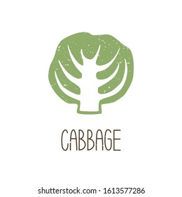 Ripe colored caption cabbage slice isolated on transparent background. Colorful pictogram original design. Can be used for infographics, identity or decoration. Vector hand drawn illustration