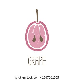 Ripe colored caption half of the grapes with seeds isolated on transparent background. Colorful pictogram. Can be used for infographics, identity or decoration. Vector hand drawn illustration