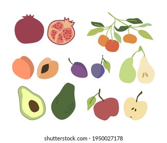 Ripe colored fruit hand drawn vector flar set EPS10 isolated on white