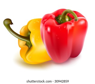 Ripe colored peppers. Vector illustration of peppers