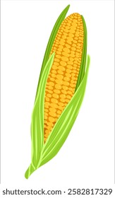 Ripe Corn cob. Cute corn or corncob in cartoon style. Maize growth plant. Organic food, vegetables and restaurant concept. Simple corn vector illustration isolated on white background.