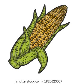 Cob de maíz maduro con cáscara. oreja de maíz. Esbozo de color, estilo de tablero de imitación de arañazos.