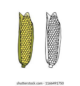 Ripe corn cob with leaves. hand drawn vector illustration.doodles or cartoon style.
