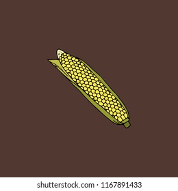 Ripe corn cob with leaves. hand drawn vector illustration.doodles or cartoon style.
