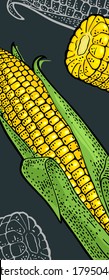 Ripe corn cob with and without leaves. Vector color and monochrome vintage engraving isolated on dark background. Vertical template menu, poster, flyer, banner.