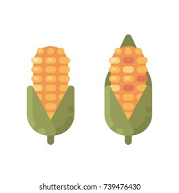 Ripe corn flat icons. Autumn harvest flat illustration
