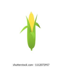 Ripe corn on the cob