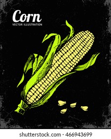 Ripe corn on the cob with leaf. Vector vintage engraving illustration. Isolated on dark background