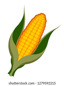 Ripe corn peel