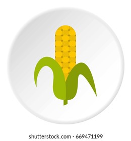 Ripe corncob icon in flat circle isolated on white background vector illustration for web
