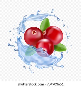 Ripe cranberries in water splash. Realistic vector illustration