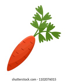 Ripe crispy carrot, orange vegetable, healthy vitamin root, product with long green sprouts on top, color isolated cartoon flat vector illustration.