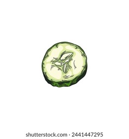 Ripe cucumber round slice vector sketch. Juicy fresh vegetable piece with small seeds inside and green skin hand drawn isolated. Salad ingredient, natural healthy organic plant food