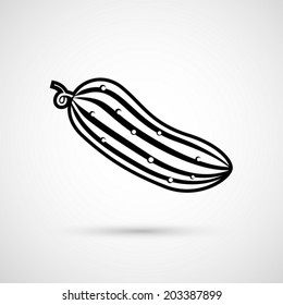 ripe cucumber vector illustration
