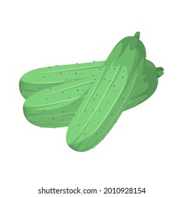 Ripe cucumbers on a white background. Vegetables.