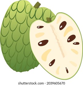 La manzana de crema madura está lista