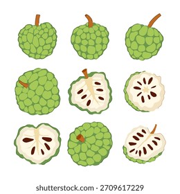 Manzanas cremosas presentadas como un conjunto de Ilustraciones vectoriales planas, con frutas enteras y secciones transversales que revelan la pulpa cremosa y las semillas oscuras, que representan productos orgánicos saludables