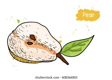 Ripe, cut in half pear with leaves on a white background with splashes. Hand drawing Doodle