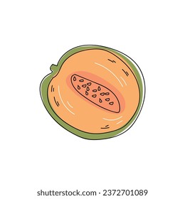 Cortar melón en fondo blanco